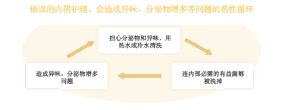 像管理上市公司一样管理身体：CEO必须掌握的“身体资产负债表”