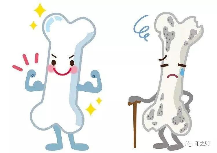 心情不好竟然是因为“肠子”?揭秘日本长寿饮食背后的“肠脑轴”秘密:养好菌群,不仅瘦身还能变聪明!