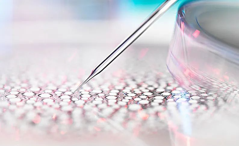 干细胞之后看什么？火遍日本贵妇圈的“外泌体（Exosome）”到底是什么神仙？一文看懂抗衰界的“5G革命”