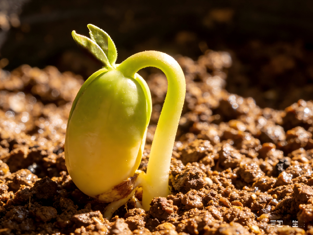 AMH只有0.6,医生劝我借卵?42岁自然好孕,我只做对了一件事:养好“土壤”。