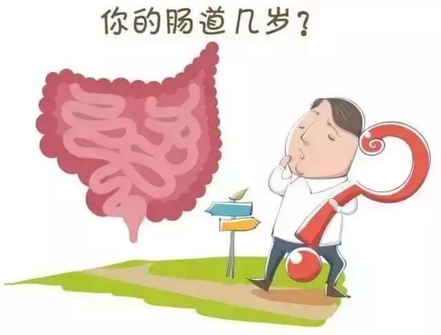 炎症始于肠道:和之时剖析“肠-皮轴(Gut-Skin Axis)”与内毒素血症的皮肤表现